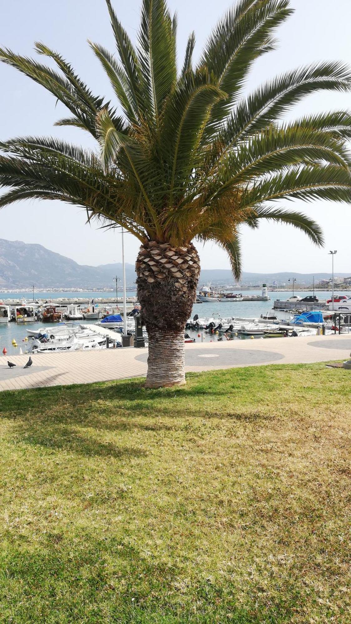 Seaside Sunset Apartment Corinth Стая снимка